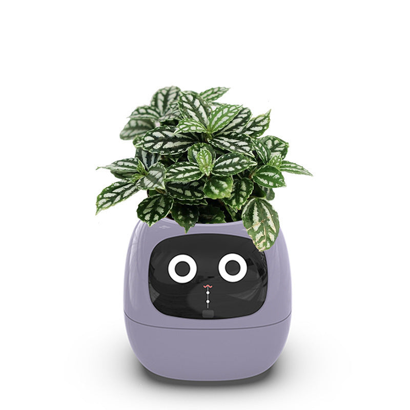 Auto Absorbent Interactive Planter Eco-friendly