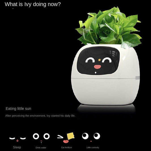 Auto Absorbent Interactive Planter Eco-friendly