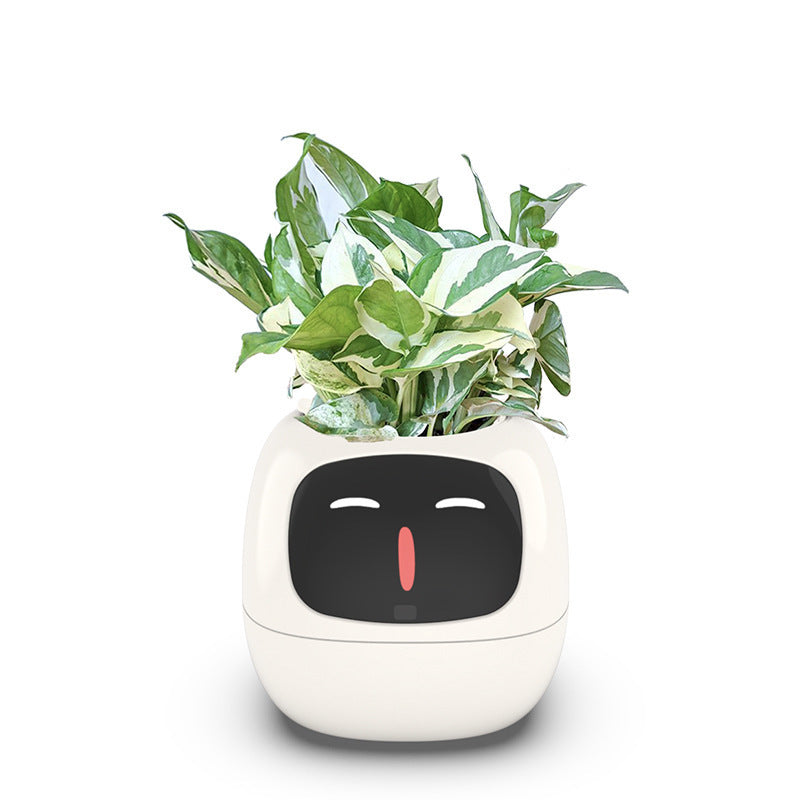 Auto Absorbent Interactive Planter Eco-friendly