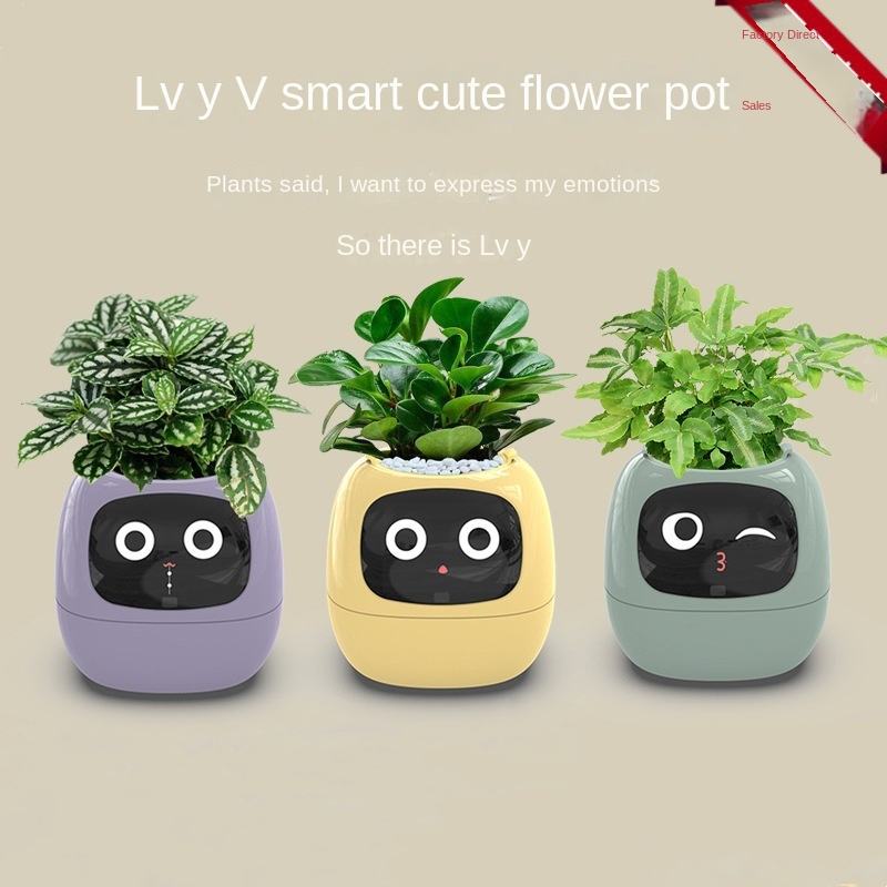 Auto Absorbent Interactive Planter Eco-friendly