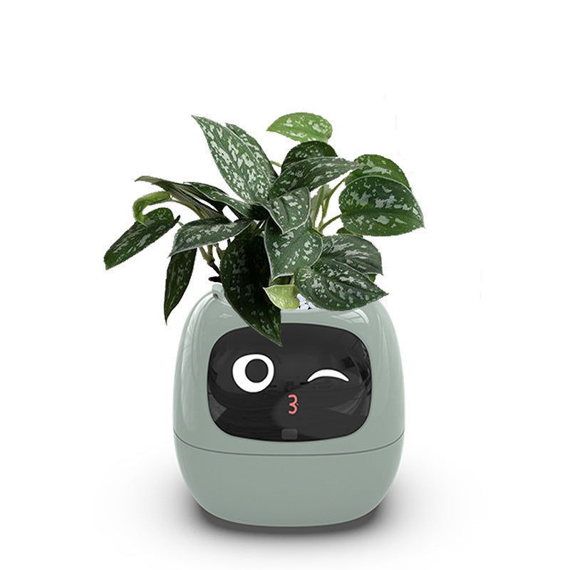 Auto Absorbent Interactive Planter Eco-friendly