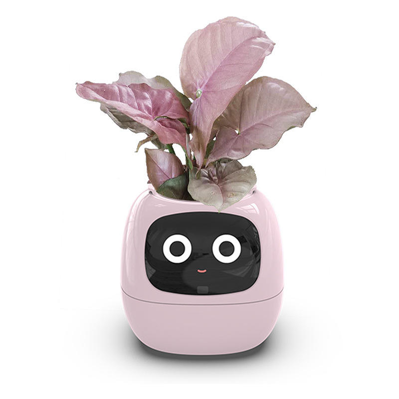 Auto Absorbent Interactive Planter Eco-friendly