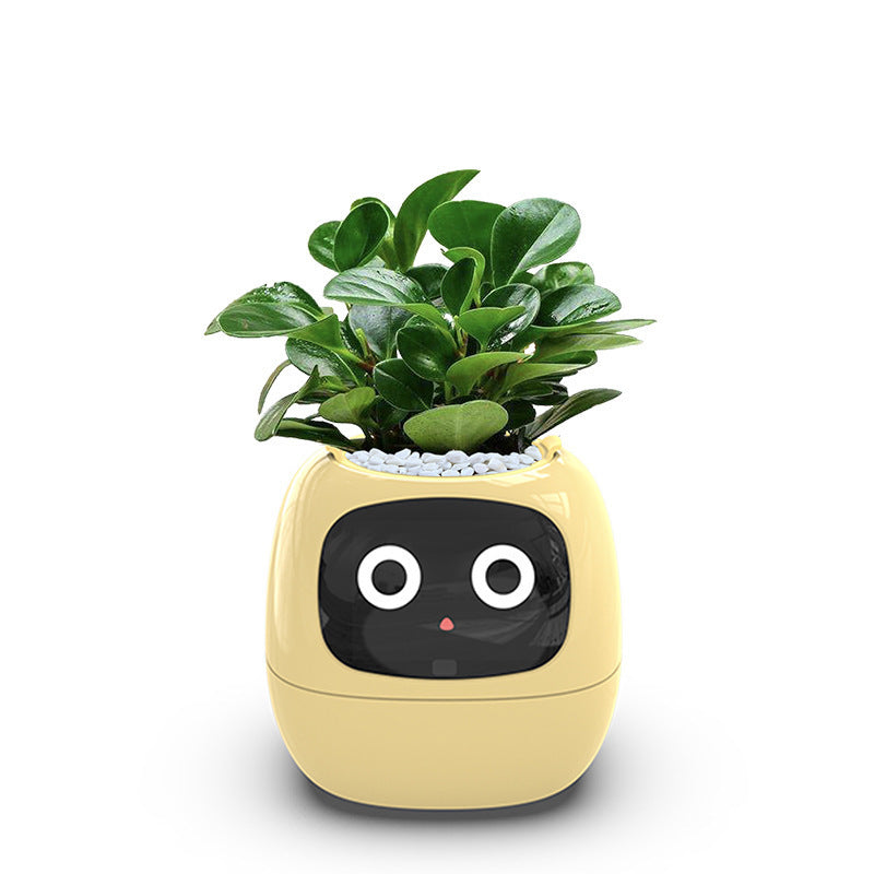 Auto Absorbent Interactive Planter Eco-friendly